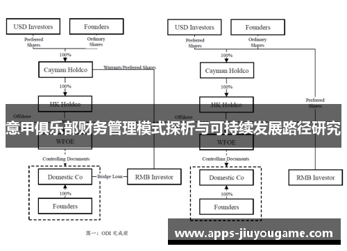 意甲俱乐部财务管理模式探析与可持续发展路径研究