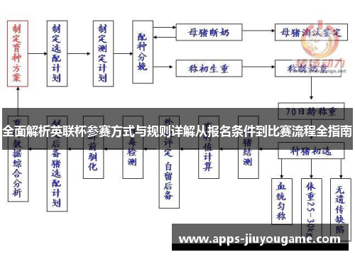 全面解析英联杯参赛方式与规则详解从报名条件到比赛流程全指南