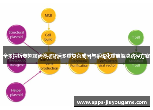 全景探析英超联赛停摆背后多重复杂成因与系统化重启解决路径方案 全景探析英超联赛停摆背后多重复杂成因与系统化重启解决路径方案